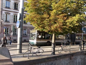 bus-halles-Karim-TATAI-Strasbourg